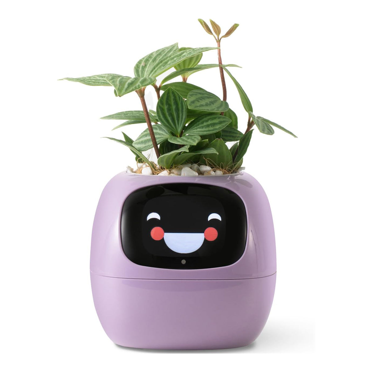 Smart Pet Planter Robot