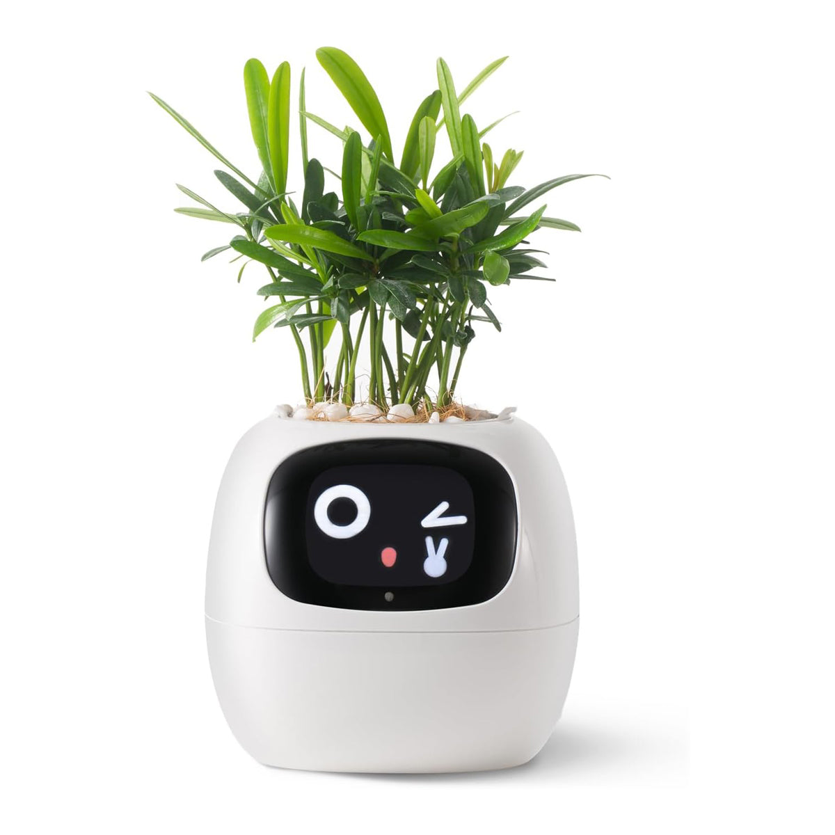 Smart Pet Planter Robot