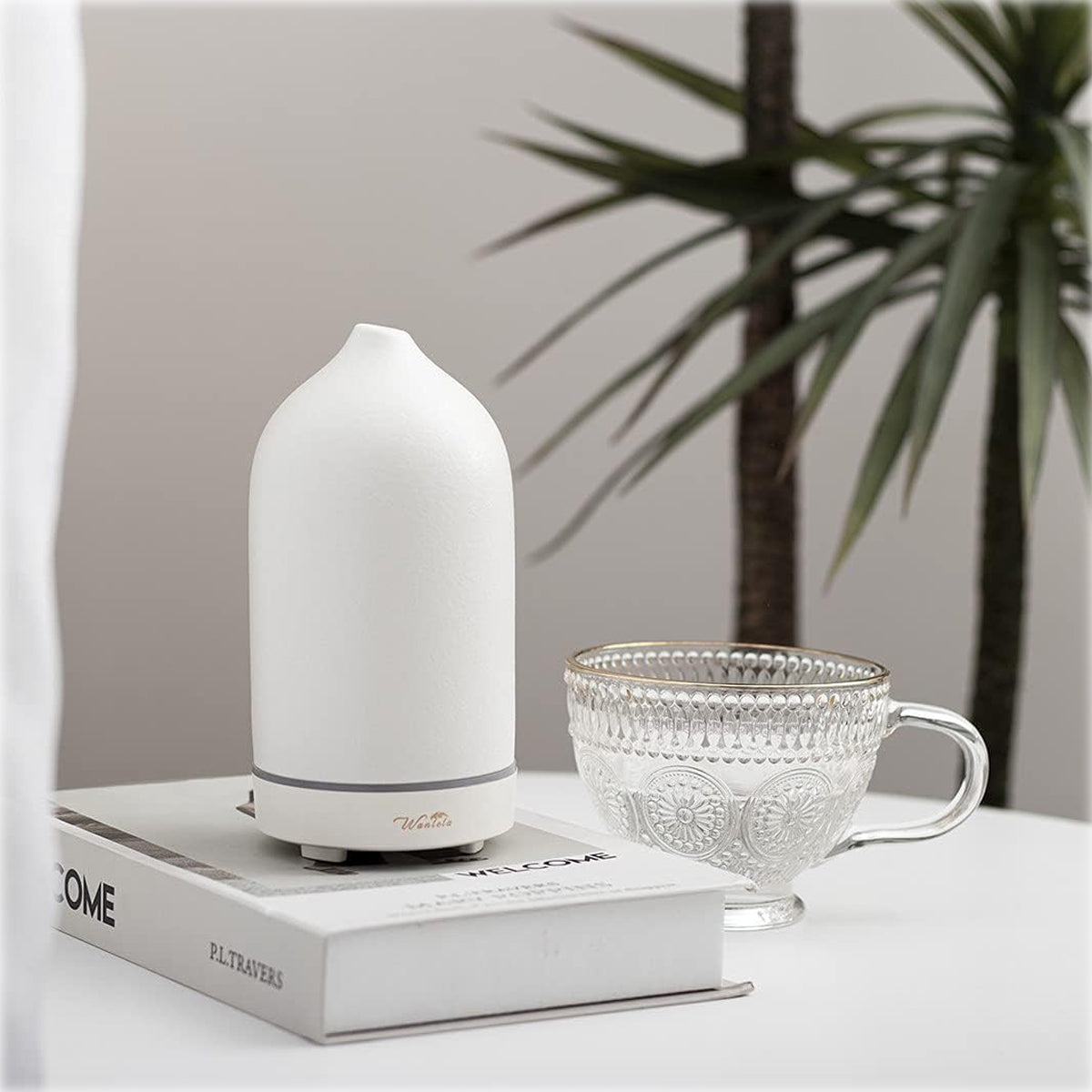 Wanlola 120ml Ceramic Essential Oil Diffuser