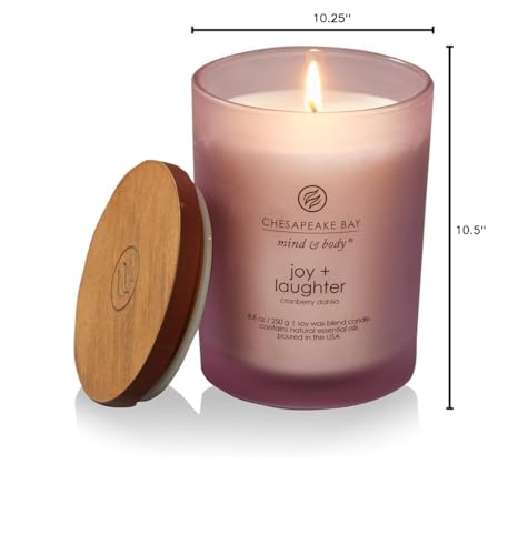 Chesapeake Bay Candle Medium Jar Scented Candle