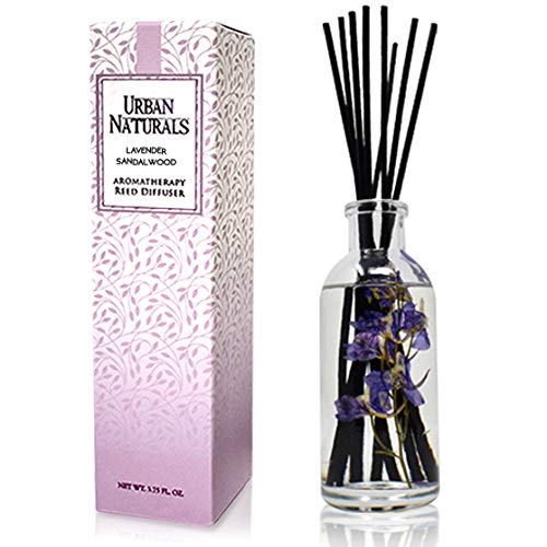 Ocean Mist & Sea Salt Reed Diffuser Set