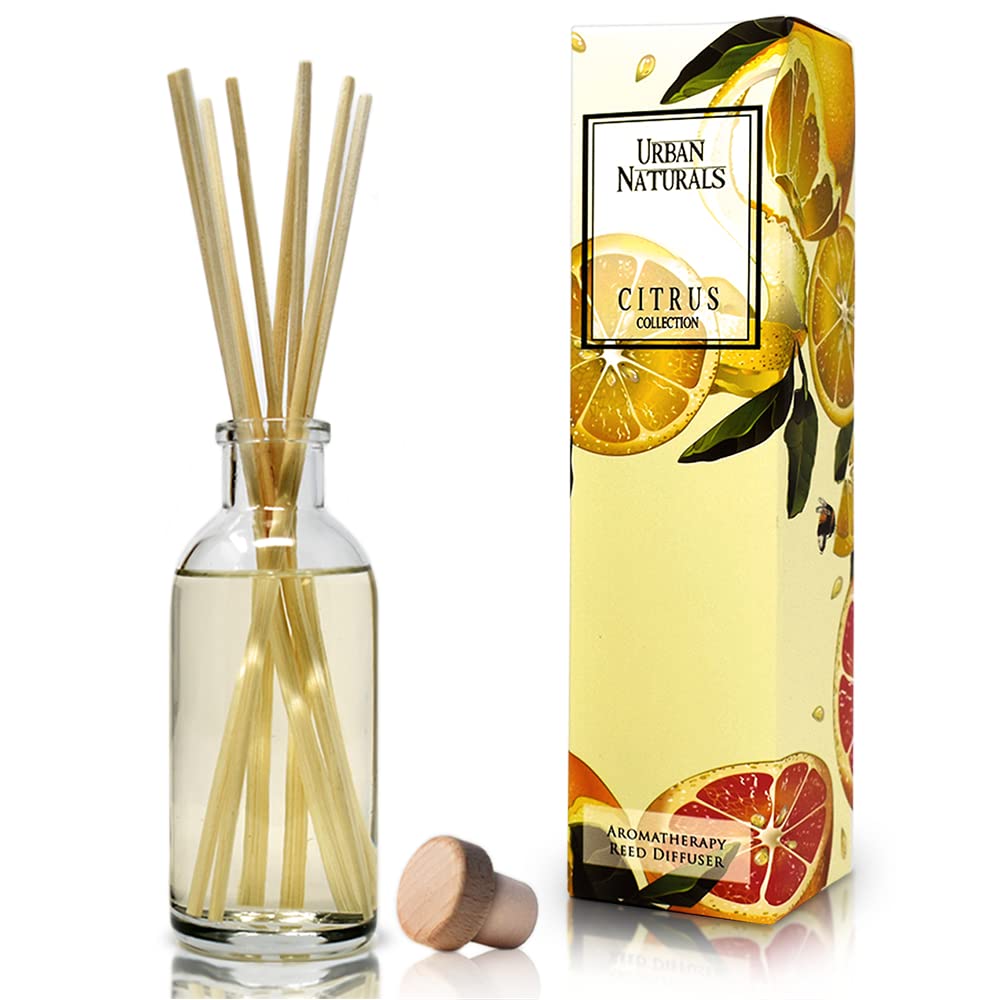 Ocean Mist & Sea Salt Reed Diffuser Set