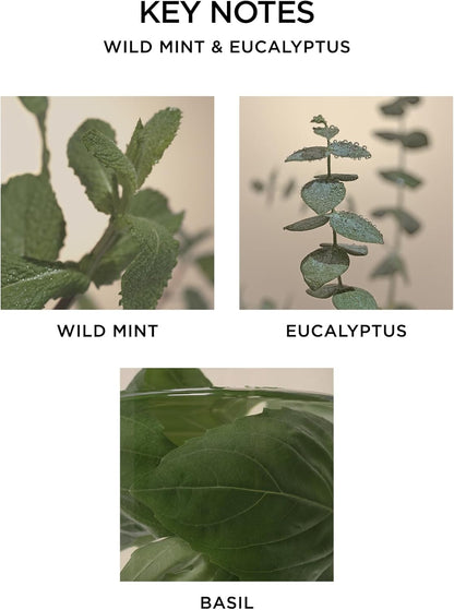 NEST Wild Mint & Eucalyptus Reed Diffuser 5.9oz
