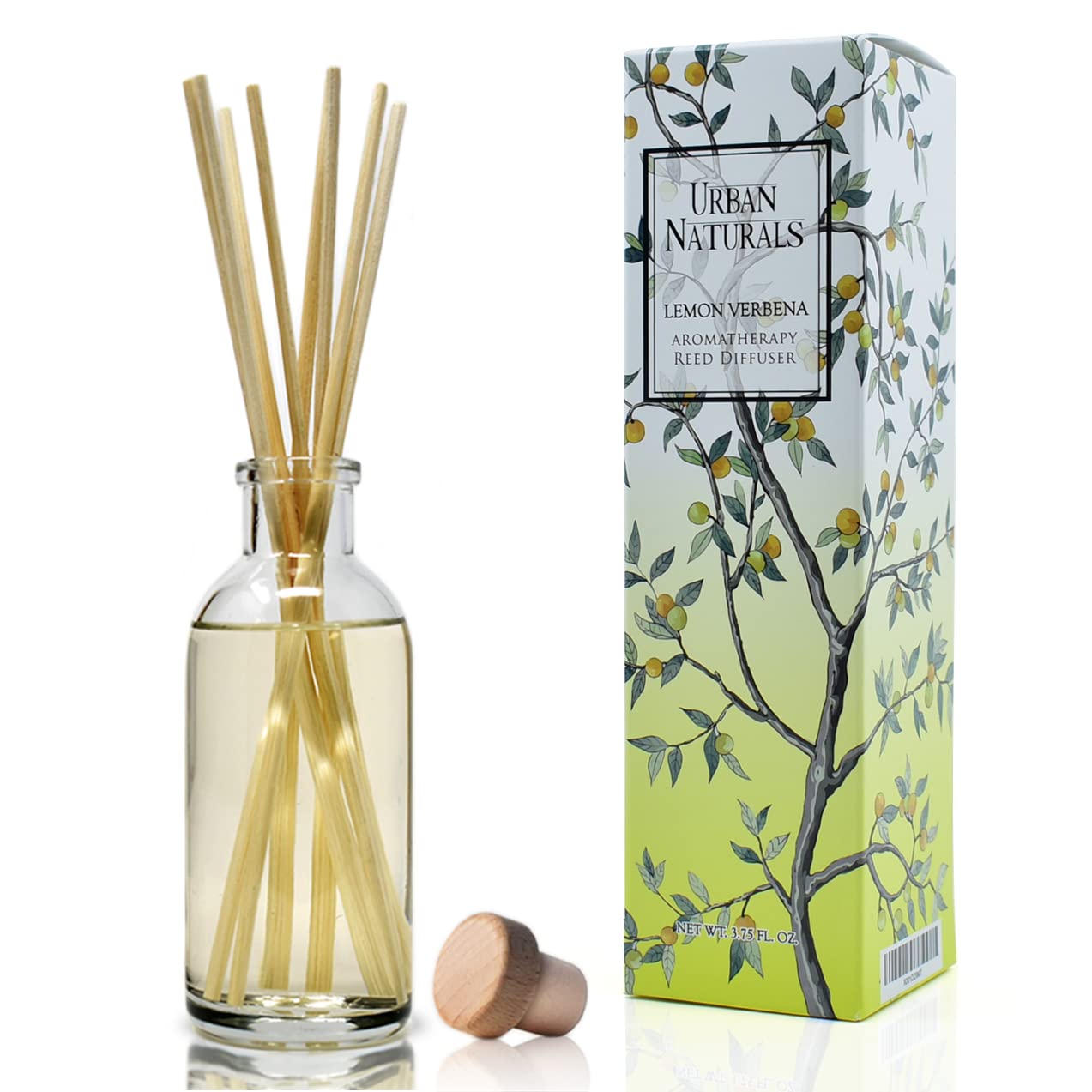Ocean Mist & Sea Salt Reed Diffuser Set