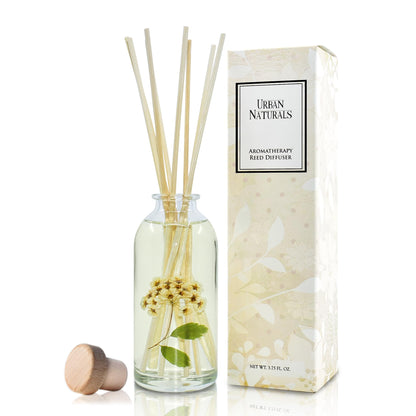 Ocean Mist & Sea Salt Reed Diffuser Set