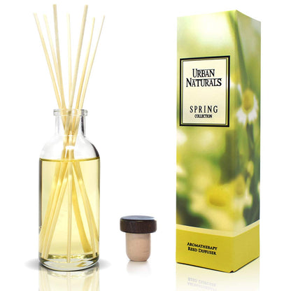 Ocean Mist & Sea Salt Reed Diffuser Set