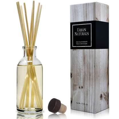 Ocean Mist & Sea Salt Reed Diffuser Set