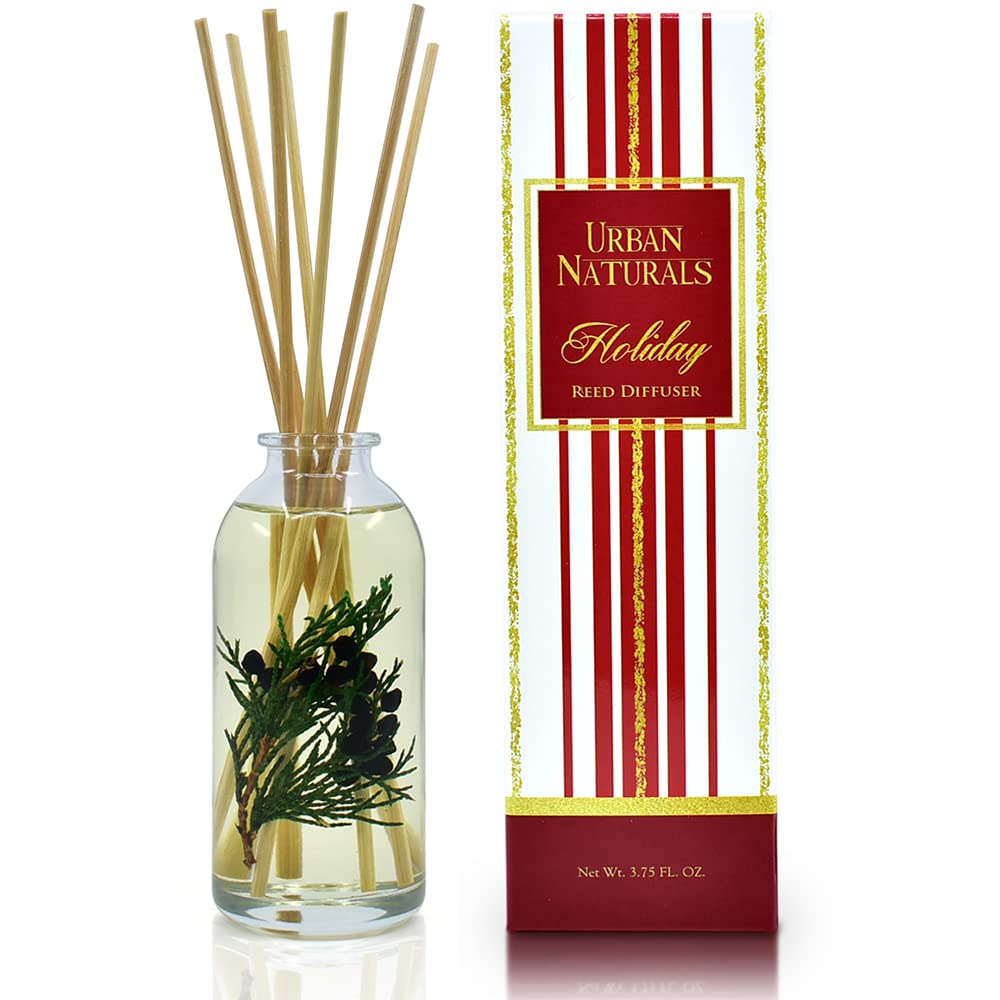 Ocean Mist & Sea Salt Reed Diffuser Set