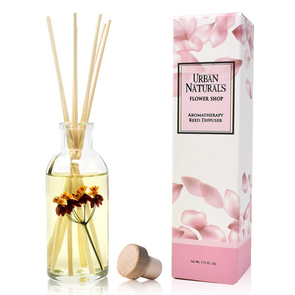 Ocean Mist & Sea Salt Reed Diffuser Set