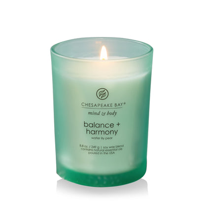 Chesapeake Bay Candle Medium Jar Scented Candle