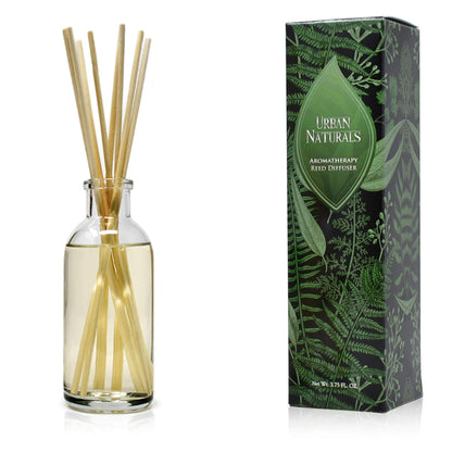 Ocean Mist & Sea Salt Reed Diffuser Set