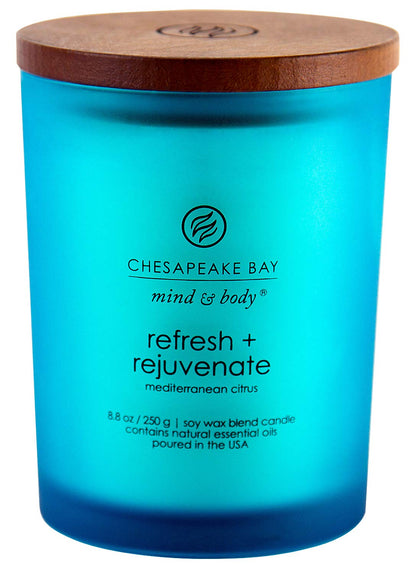 Chesapeake Bay Candle Medium Jar Scented Candle