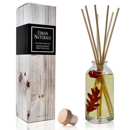 Ocean Mist & Sea Salt Reed Diffuser Set
