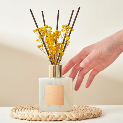 Cocorrína Clean Linen Reed Diffuser 6.7oz
