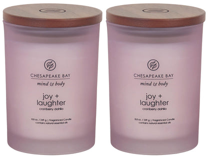 Chesapeake Bay Candle Medium Jar Scented Candle