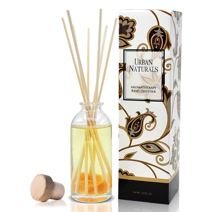 Ocean Mist & Sea Salt Reed Diffuser Set