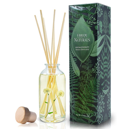 Ocean Mist & Sea Salt Reed Diffuser Set