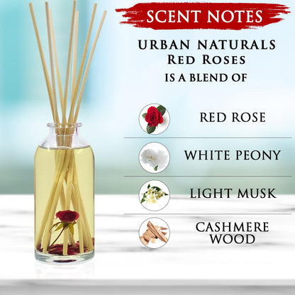 Ocean Mist & Sea Salt Reed Diffuser Set