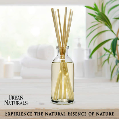 Ocean Mist & Sea Salt Reed Diffuser Set