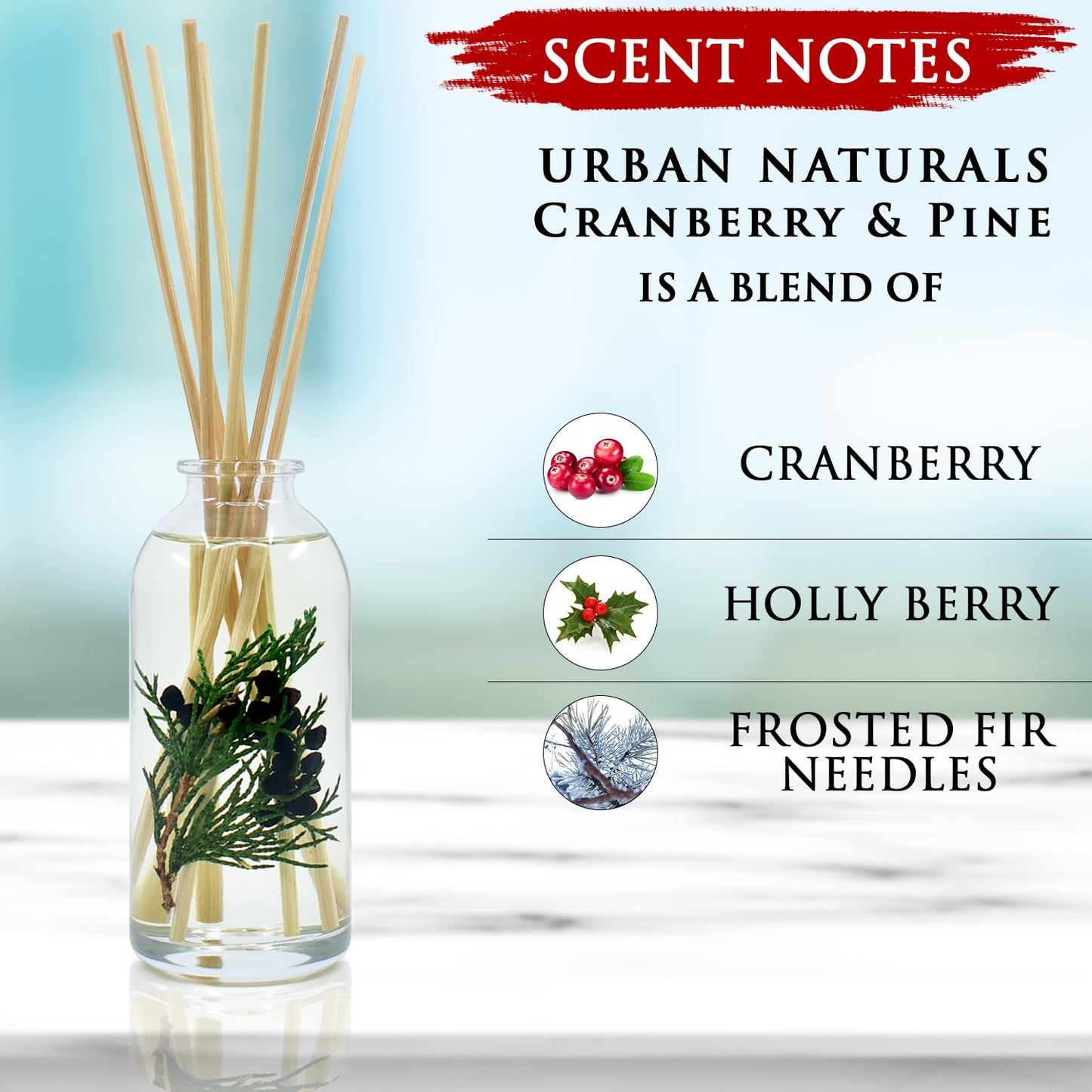Ocean Mist & Sea Salt Reed Diffuser Set
