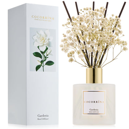Cocorrína Clean Linen Reed Diffuser 6.7oz