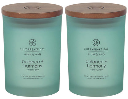 Chesapeake Bay Candle Medium Jar Scented Candle