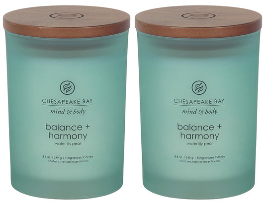 Chesapeake Bay Candle Medium Jar Scented Candle