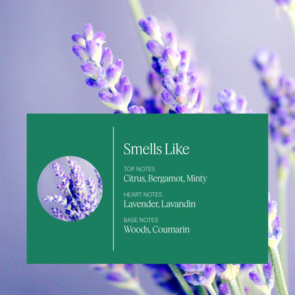 Aera Mini Citrus & Sage Refill Capsule