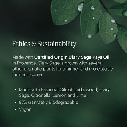 Aera Mini Citrus & Sage Refill Capsule