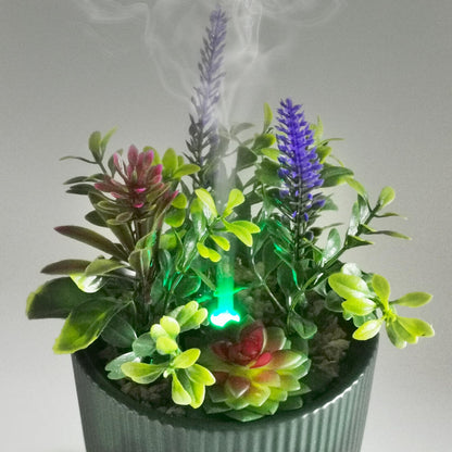 Earnest Living Ceramic Oil Diffuser 100ml