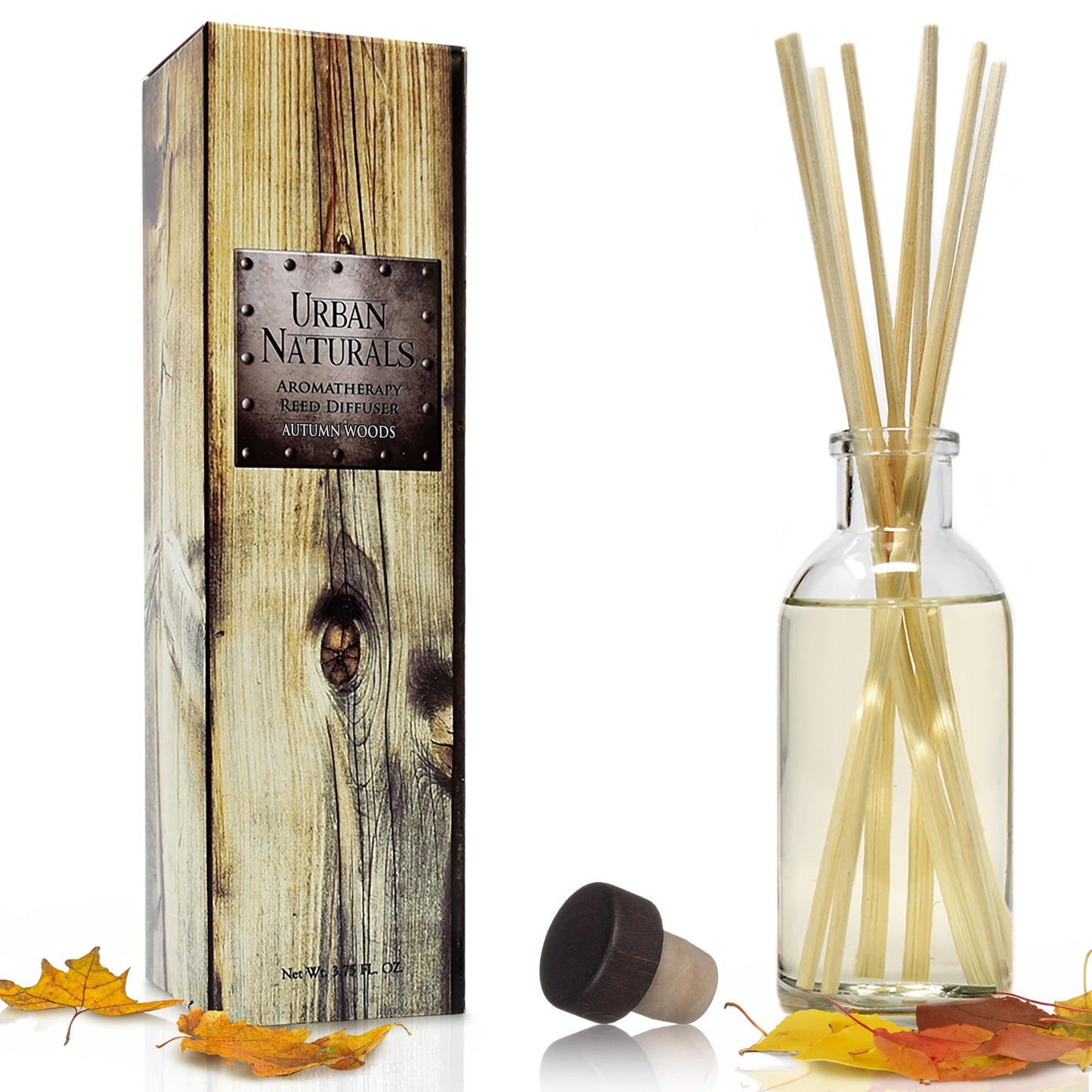 Ocean Mist & Sea Salt Reed Diffuser Set