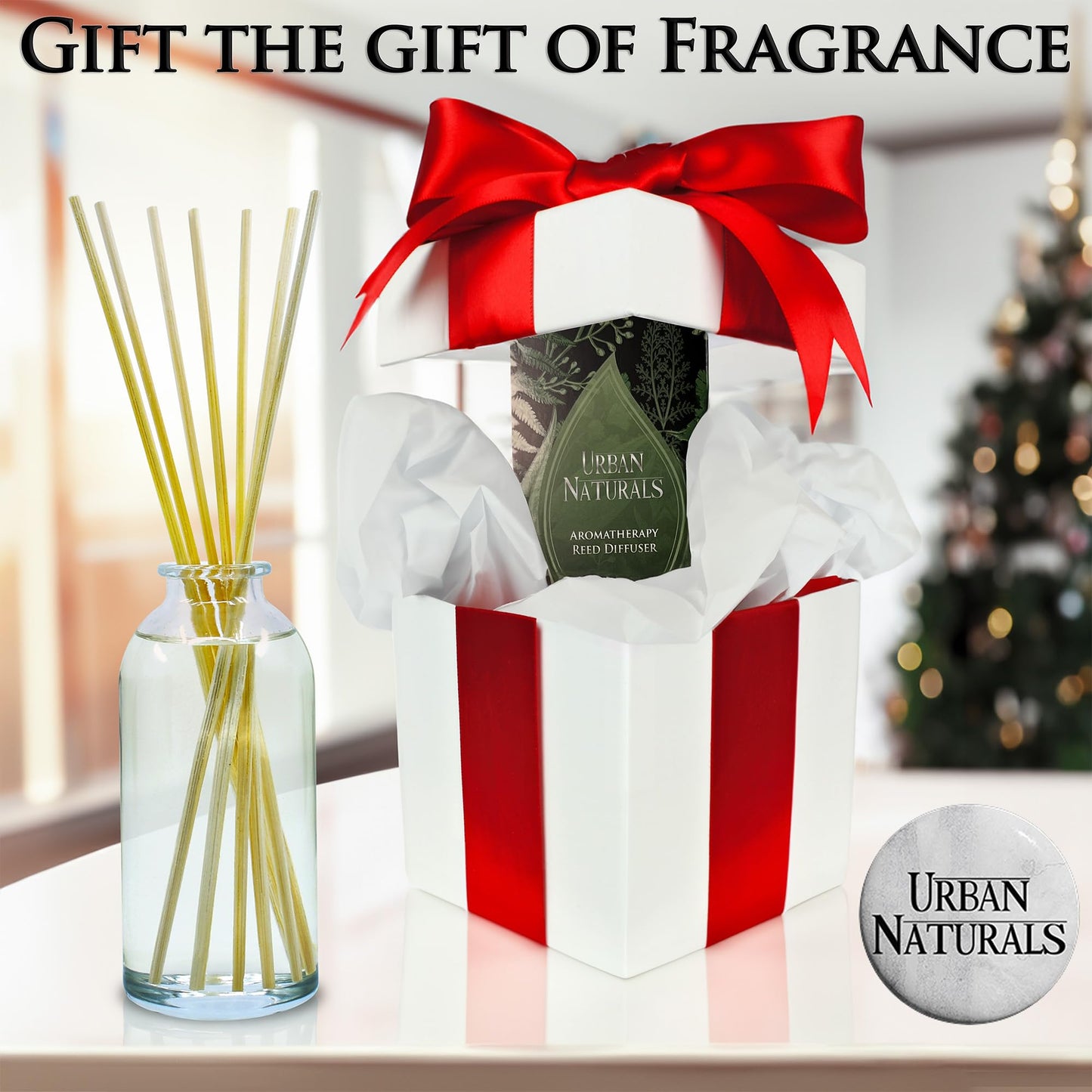 Ocean Mist & Sea Salt Reed Diffuser Set