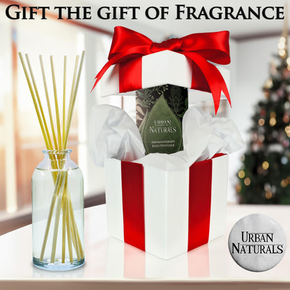 Ocean Mist & Sea Salt Reed Diffuser Set