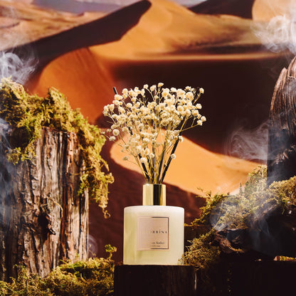 Cocorrína Clean Linen Reed Diffuser 6.7oz
