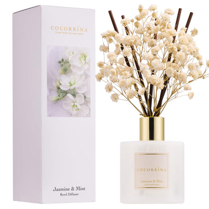 Cocorrína Clean Linen Reed Diffuser 6.7oz