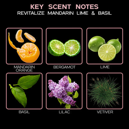LOVSPA Lavender Eucalyptus Reed Diffuser
