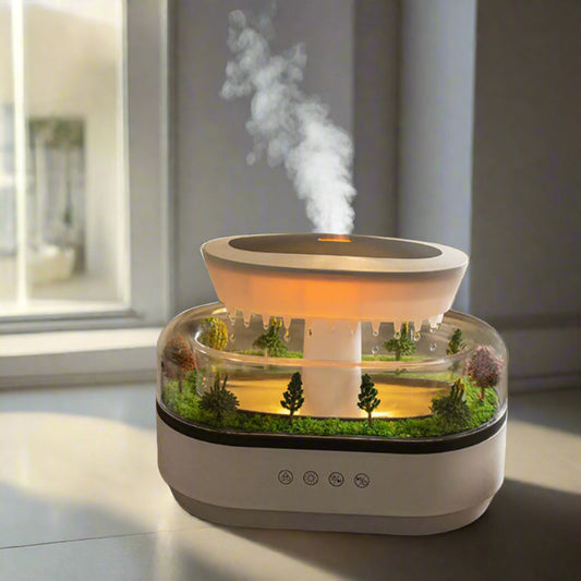 Rain Cloud Humidifier