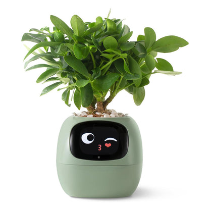 Smart Pet Planter Robot